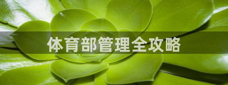 必一运动体育官网下载
