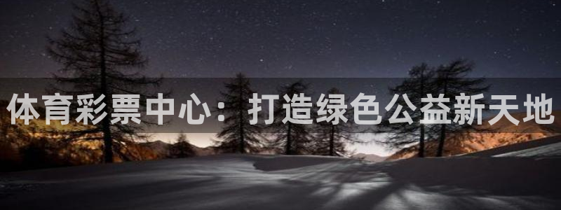 必一体育网页登录版官网