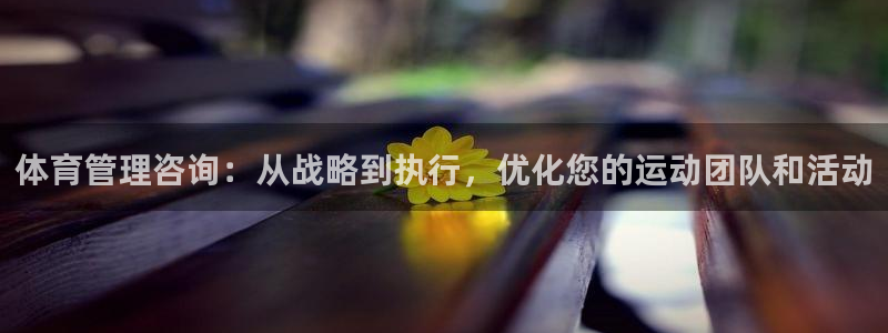 必一体育游戏特色