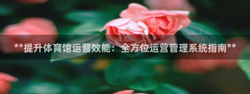 必一运动·(B-sports)