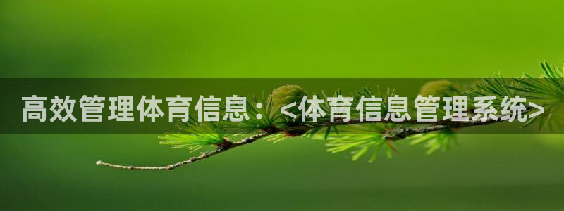 必一体育官网网址