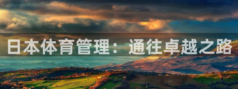 b体育官网下载入口app必一