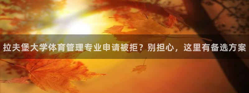 必一运动 b 体育素