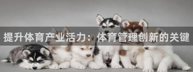 必一体育下载义