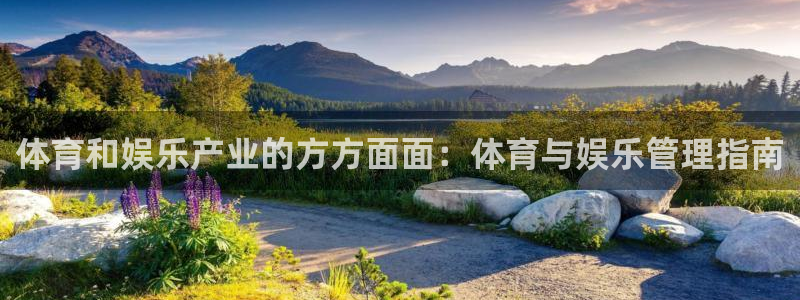 必一运动体