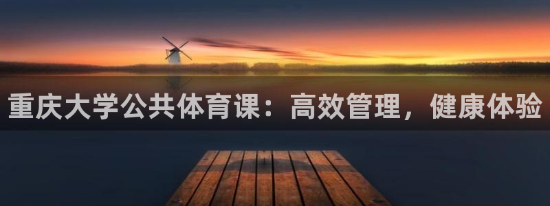 必一体育bsport下载