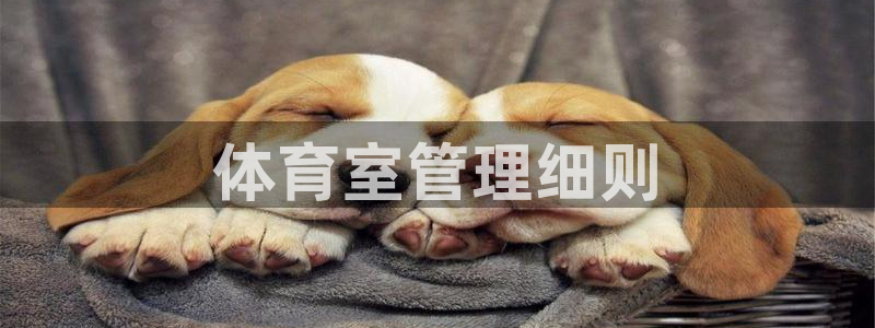 必一运动短信