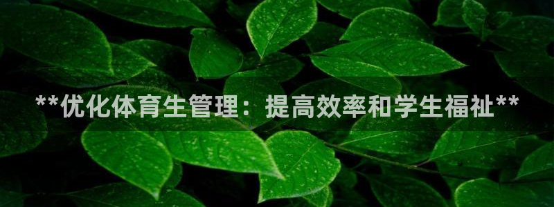 必一运动 b 体育素