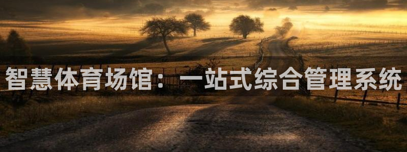 必一体育sport装