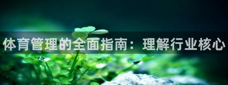 必一体育官方app下载