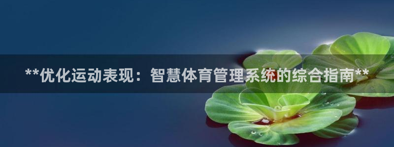 必一体育sport：