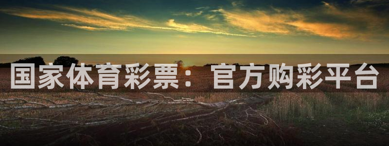 必一体育app下载最新版本苹果