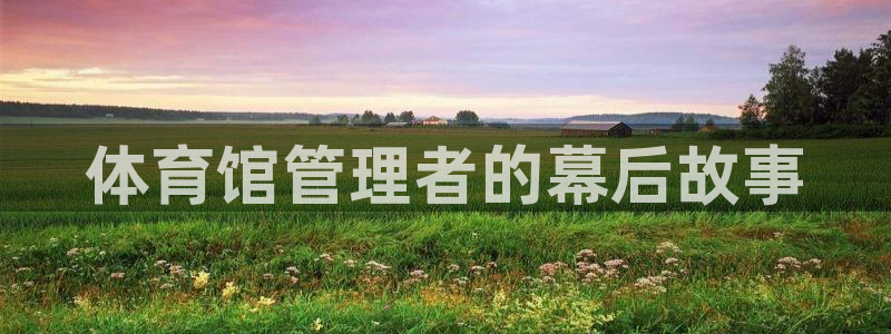 必一体育bsport下载
