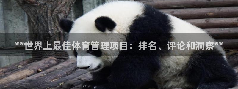b体育官网下载入口a