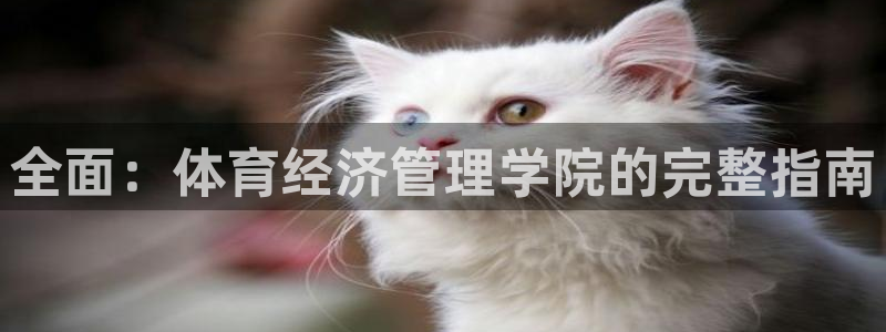 必一体育旧版：全面：