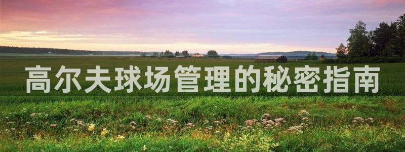 必一体育合法吗