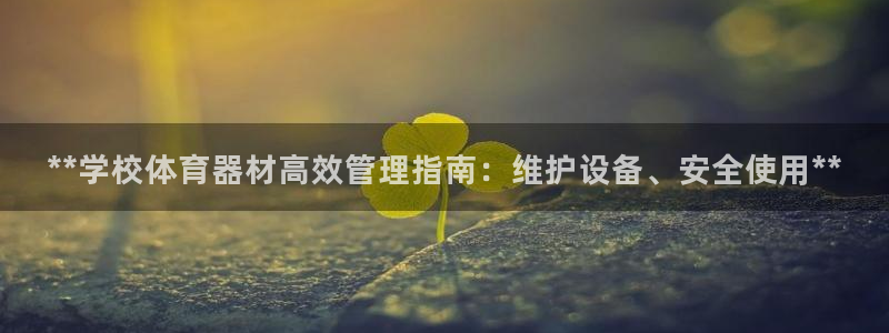 必一体育在线入口