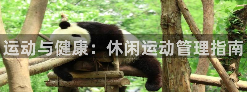 必一体育app官方：
