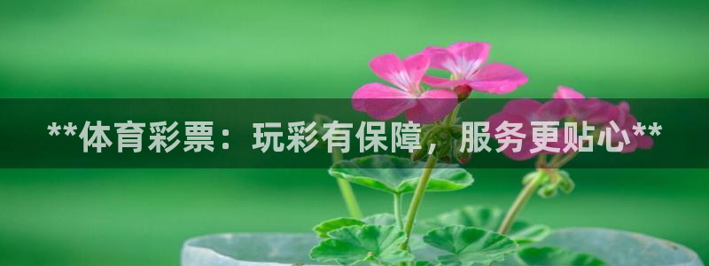 必一体育app官方正版下载