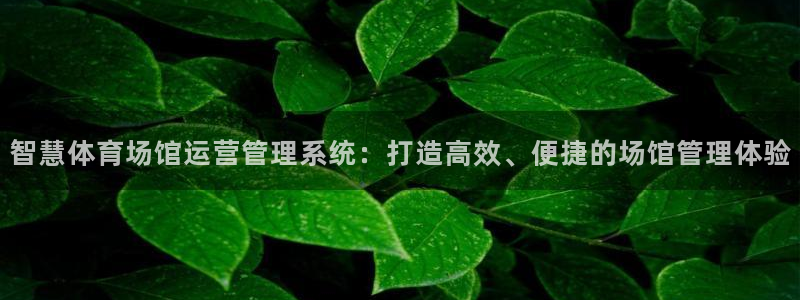 必一运动官网