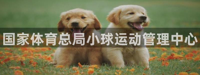 必一体育运动app下