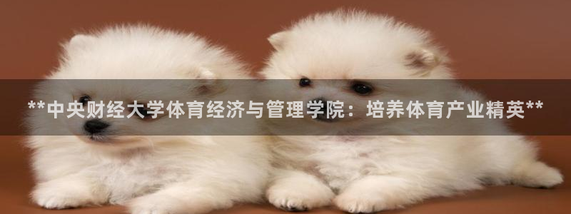 必一运动体育：**中