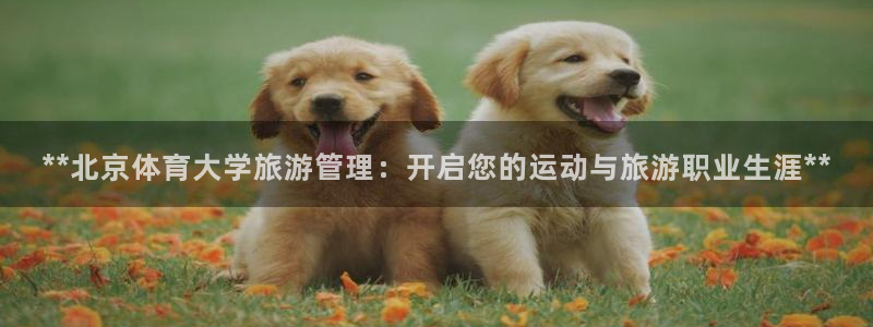 Bsport体育必一：**北京体育大学旅游管理：开启您的运动
