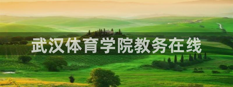 必一运动sport网页版