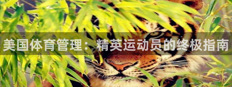 必一体育app下载装