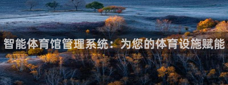 b体育必一下载：智能