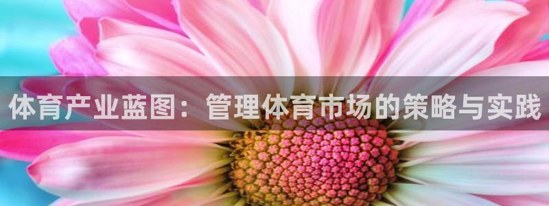 必一体育sport下载：体育产业蓝图：管理体育市场的策略与实