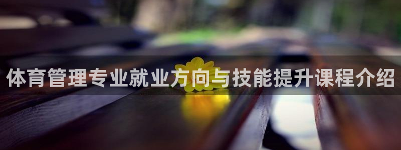 必一体育网站：体育管