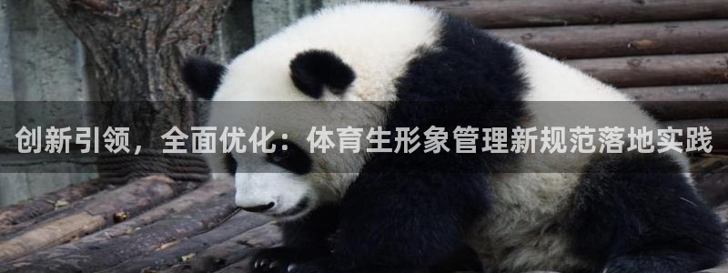 必一体育sport官方网站：创新引领，全面优化：体育生形象管