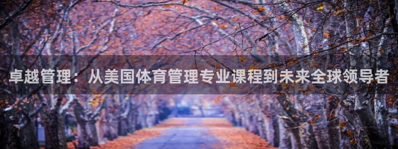 必一体育sportB