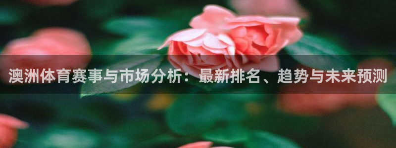 必一运动验证码：澳洲
