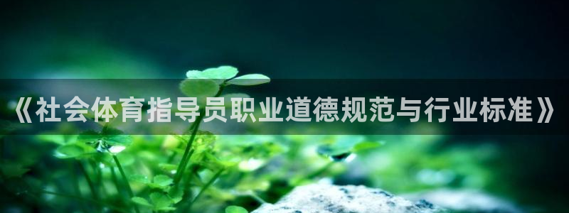 必一体育sport：
