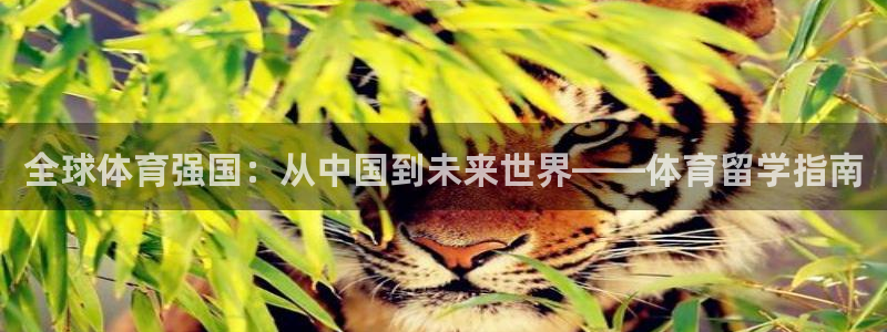 必一体育黑钱：全球体