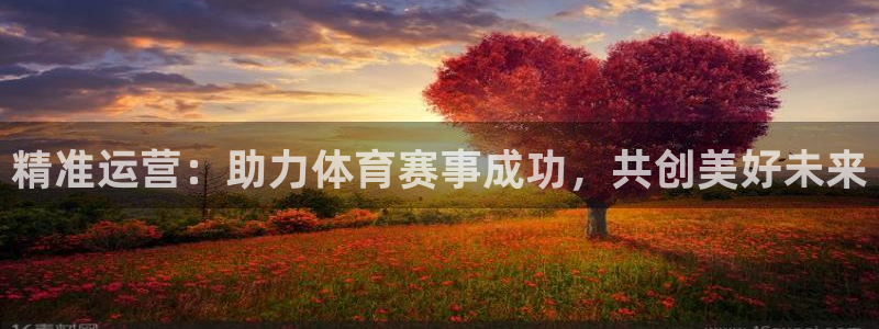 必一运动·(B-sp