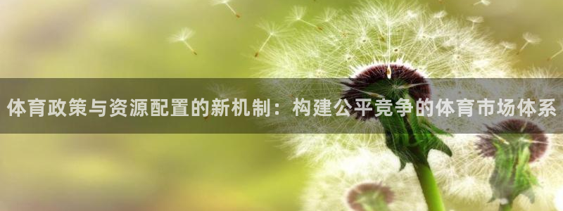 必一体育bsport下载：体育政策与资源配置的新机制：构建公