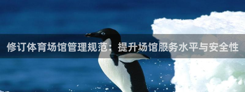 必一体育bsport