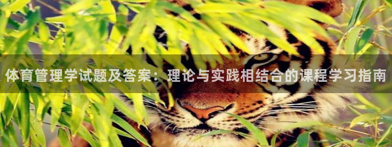 必一体育APP下载安