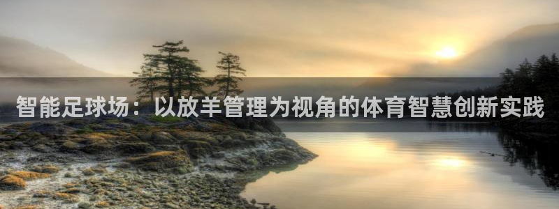 b体育必一下载：智能足球场：以放羊管理为视角的体育智慧创新实