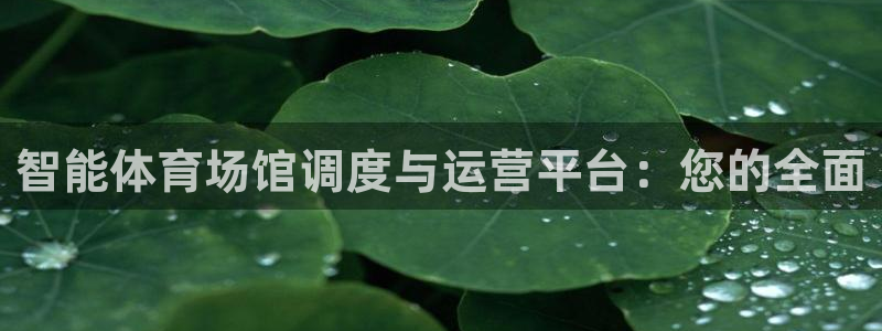 必一体育黑平台：智能体育场馆调度与运营平台：您的全面