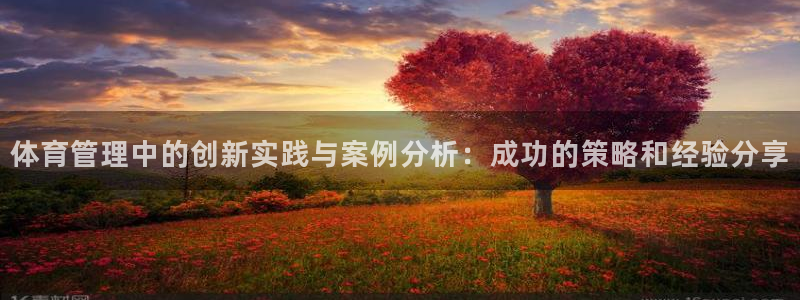 必一体育旧版：体育管