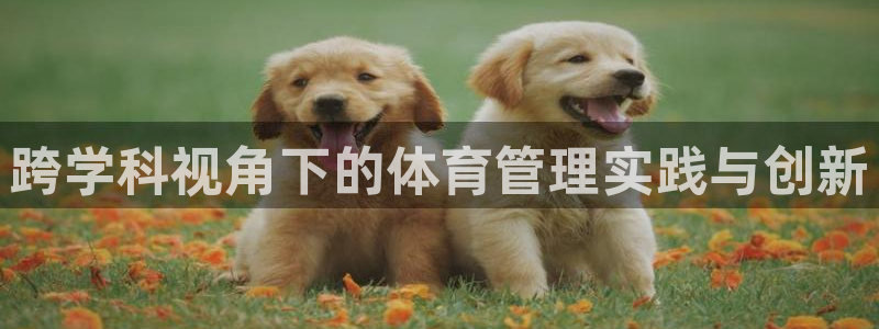 必一运动·体育：跨学科视角下的体育管理实践与创新