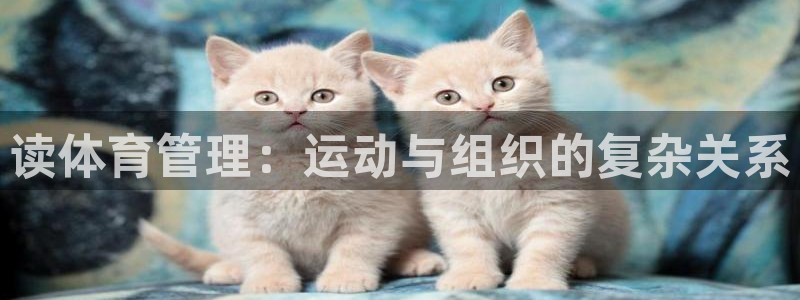 必一体育APP下载安装：读体育管理：运动与组织的复杂关系