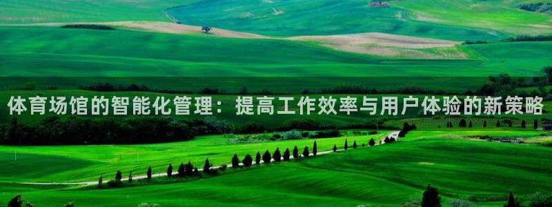 必一运动体育官网下载