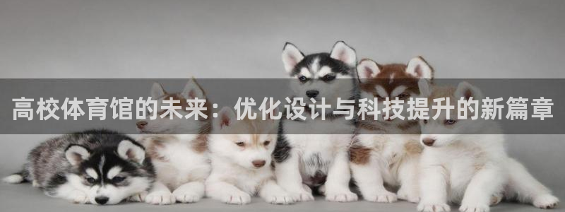 必一体育网页登录版官网：高校体育馆的未来：优化设计与科技提升