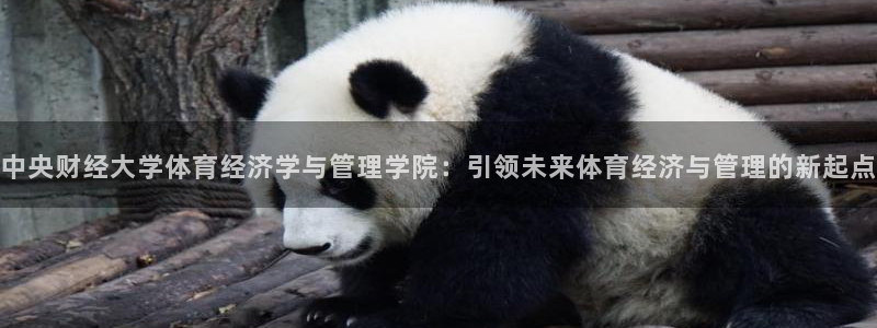 b体育必一运动网页版