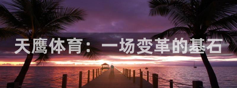 必一体育运动下载：天